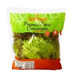 Mix-de-Folhas-Salada-Pronta-Selectus-Pacote-100g