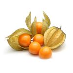 Physalis-100g